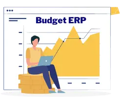 ERP budget