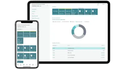 Business central Interface