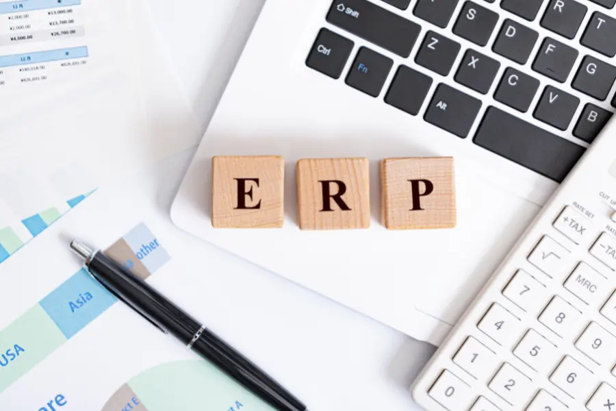 Budget ERP