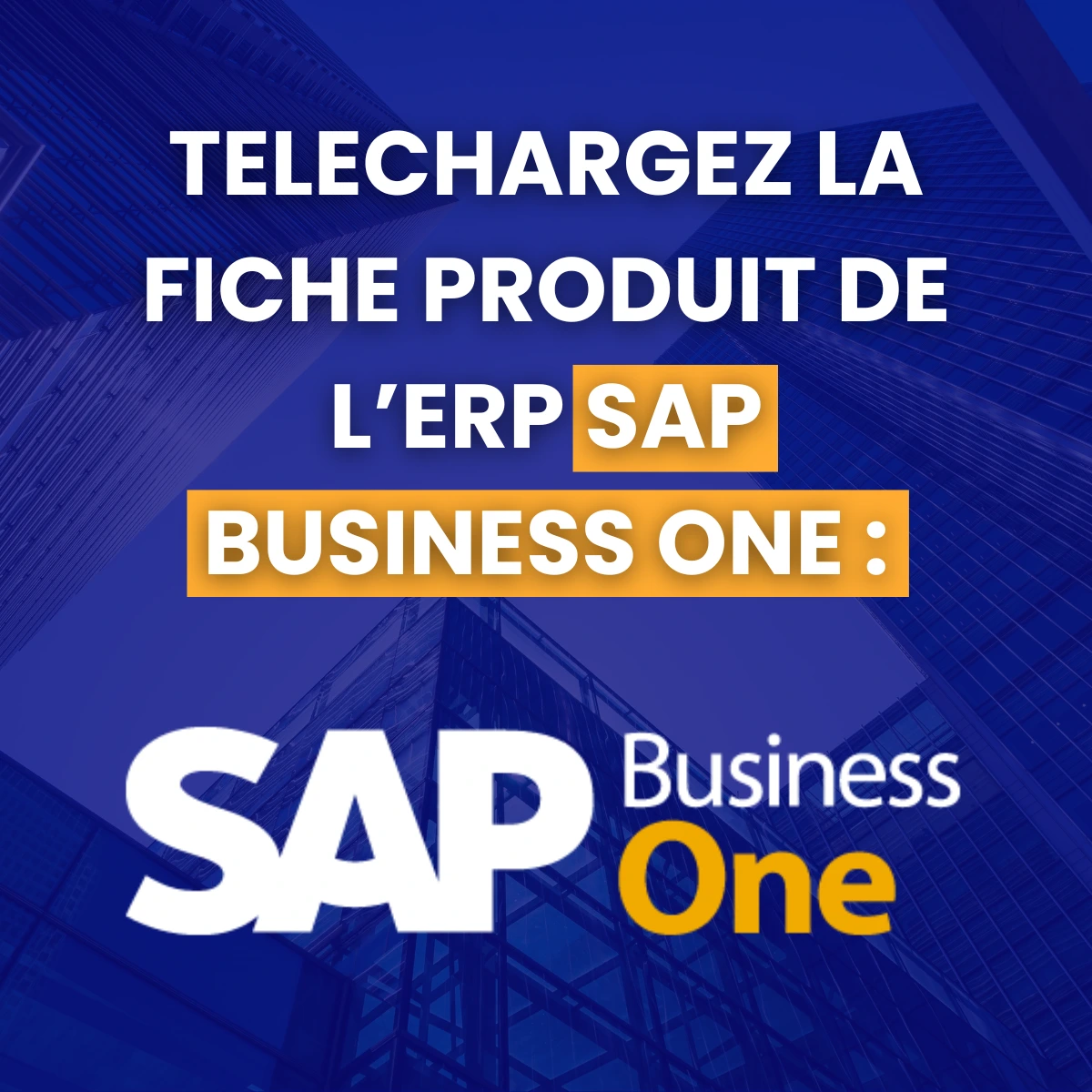 fiche produit de l’ERP SAP Business One